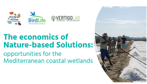update on the series of webinars “The economics of Nature-based Solutions: opportunities for the Mediterranean coastal wetlands”