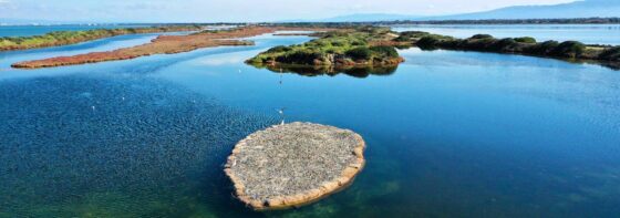  MEDSEA – Circular Blue Economy: an islet made of mussel shells to protect birdlife in Sardinia