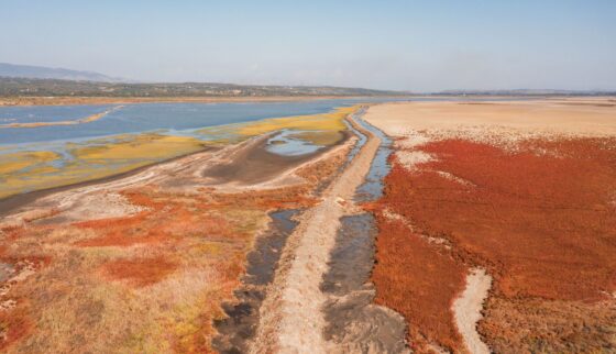 The “Saving salina for nature and people” project contributes to the restoration of the Ulcinj Salina
